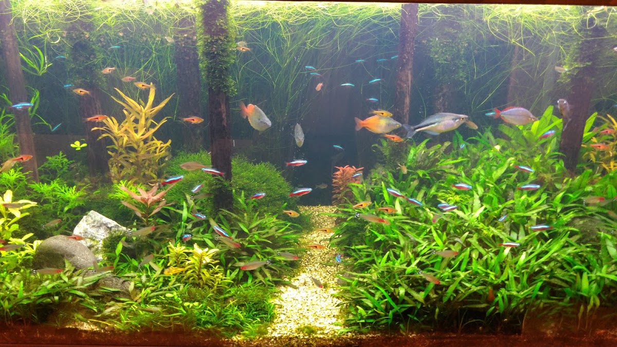明澤欣心診所 診所實景照
