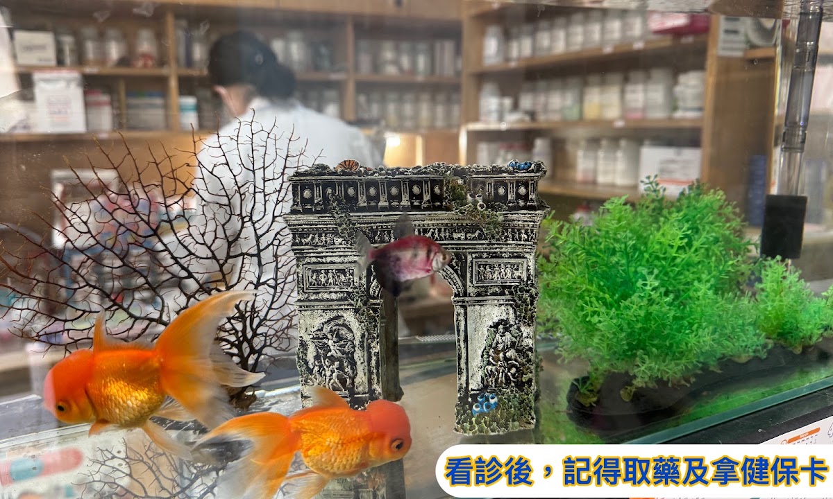真善美診所 診所實景照