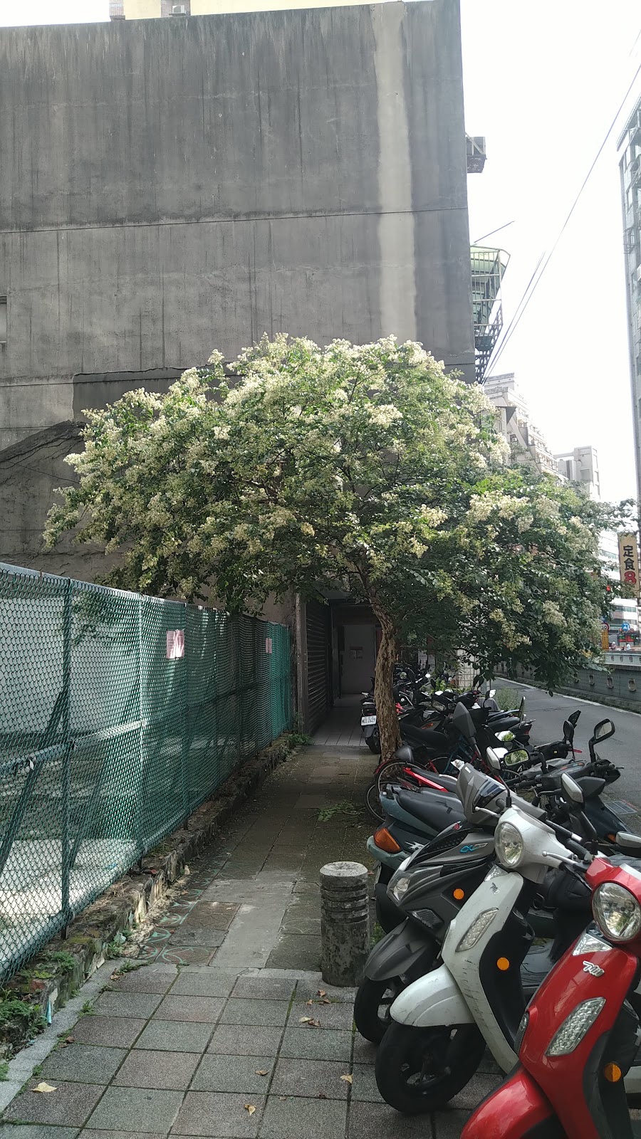 金山牙醫診所 診所實景照