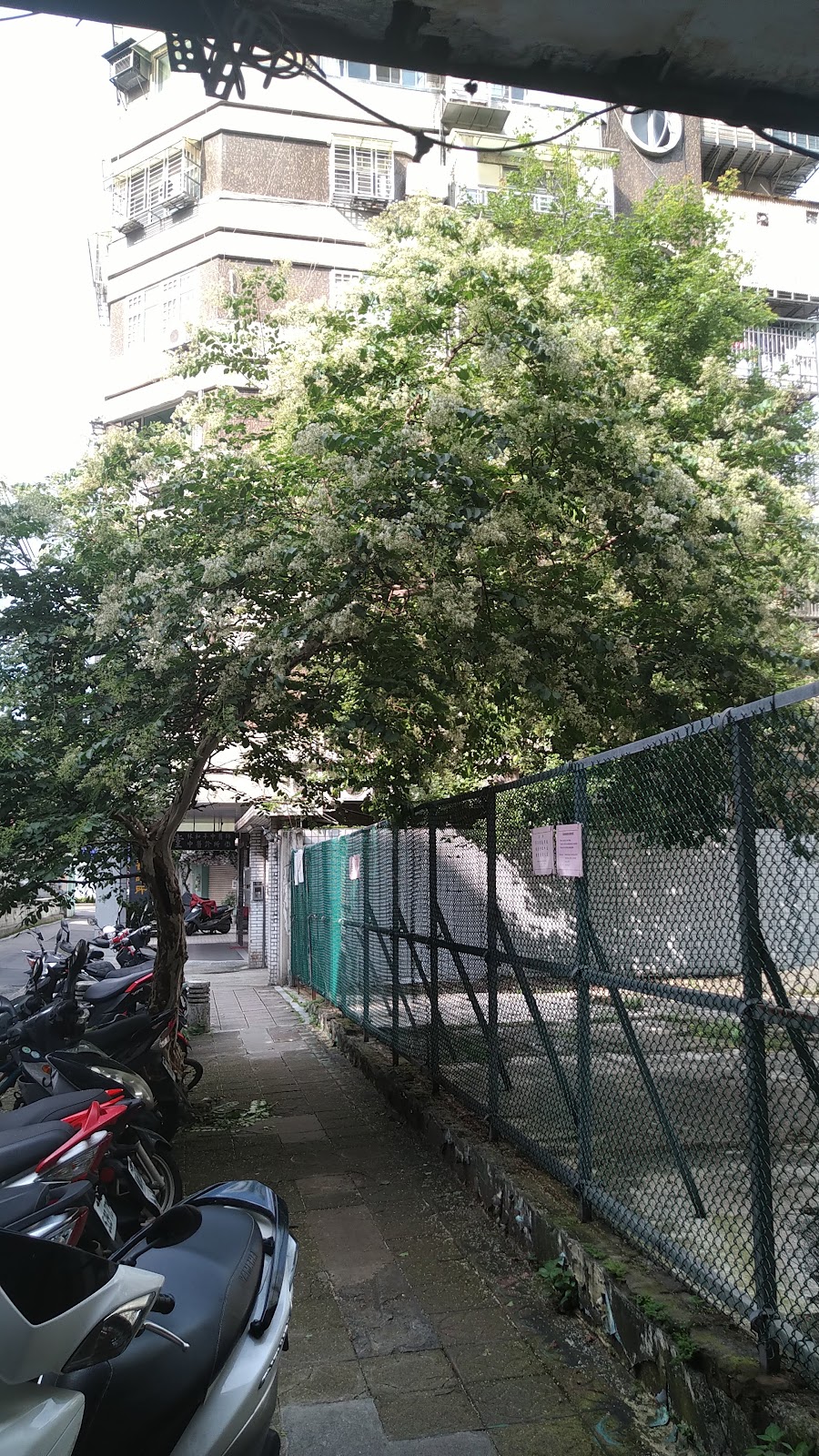 金山牙醫診所 診所實景照