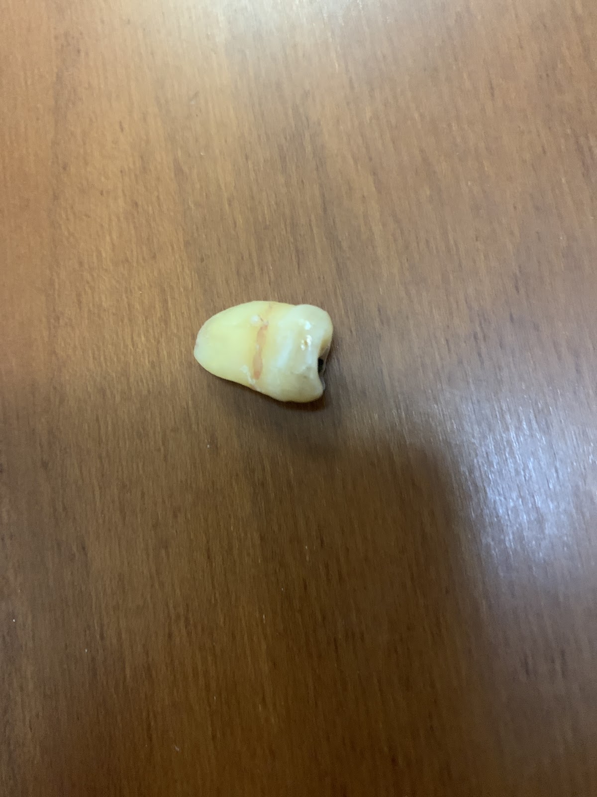 高英牙醫診所 診所實景照