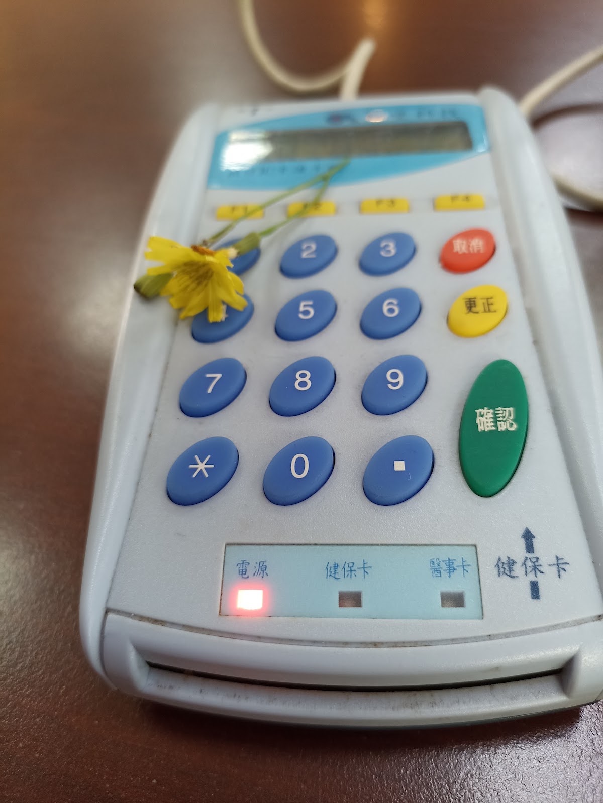 行樂親子中醫診所 診所實景照