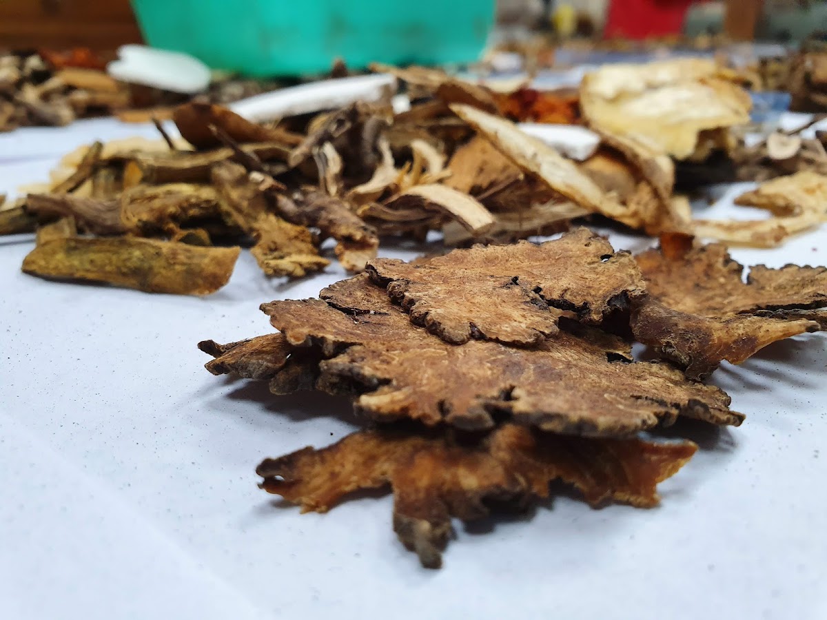 保元堂中醫診所 診所實景照