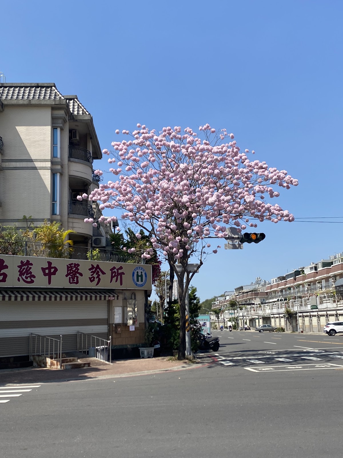 佑慈中醫診所 診所實景照