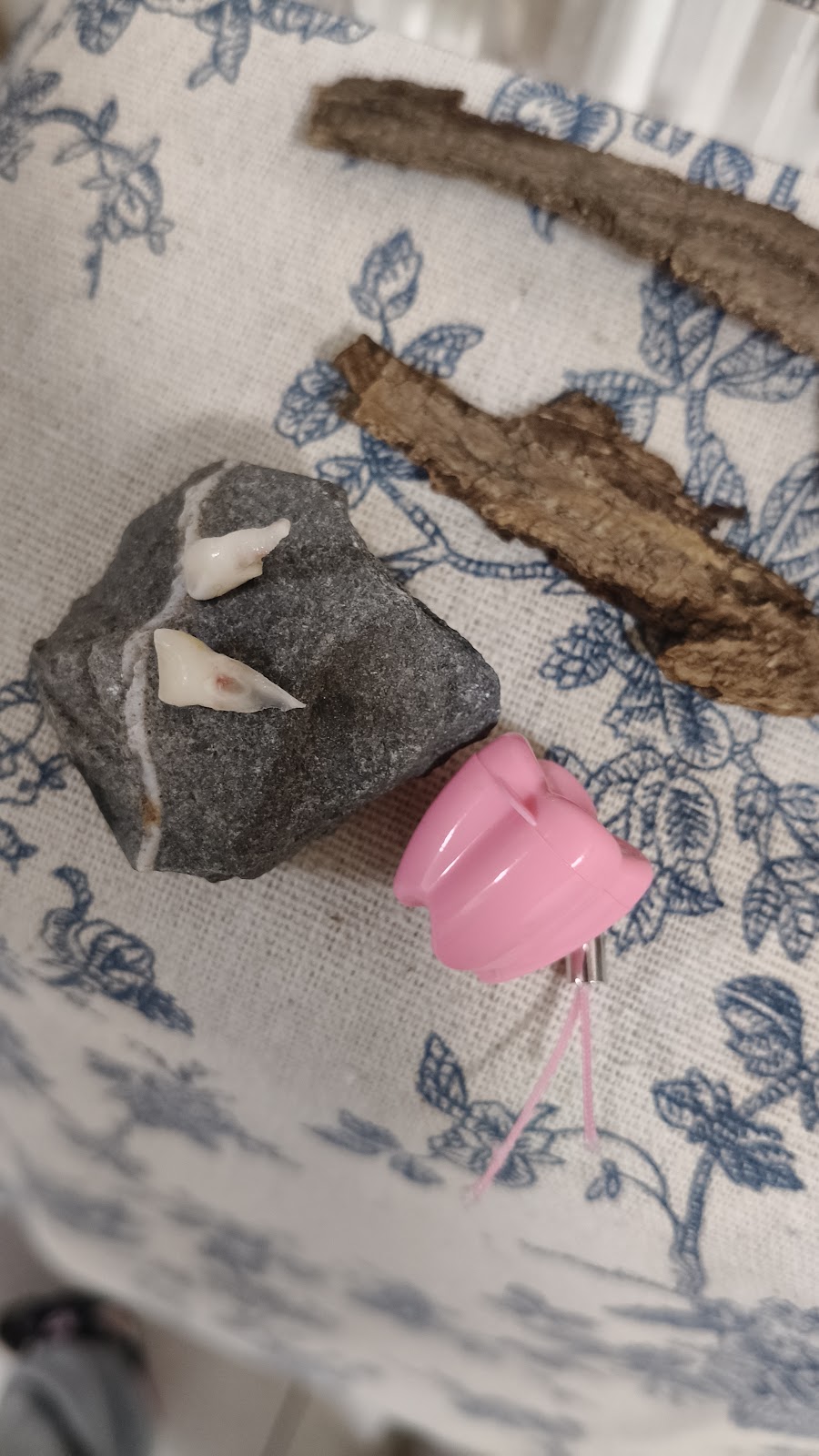 寶貝兔親子牙醫診所 診所實景照