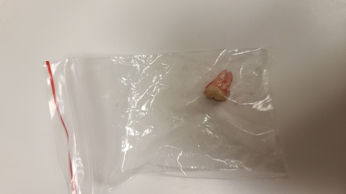 和毅牙醫診所 診所實景照