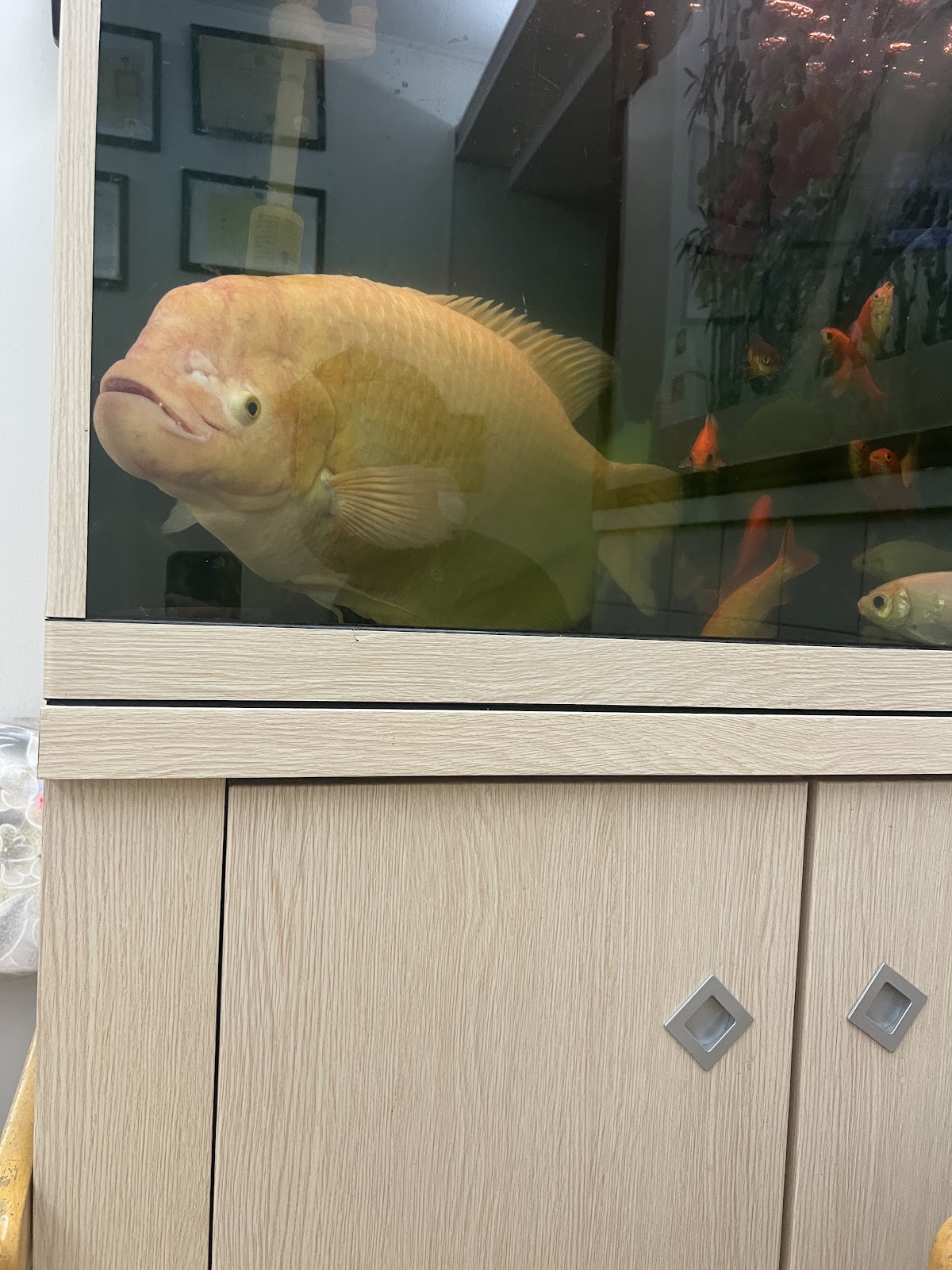 曾鳳飛牙醫診所 診所實景照