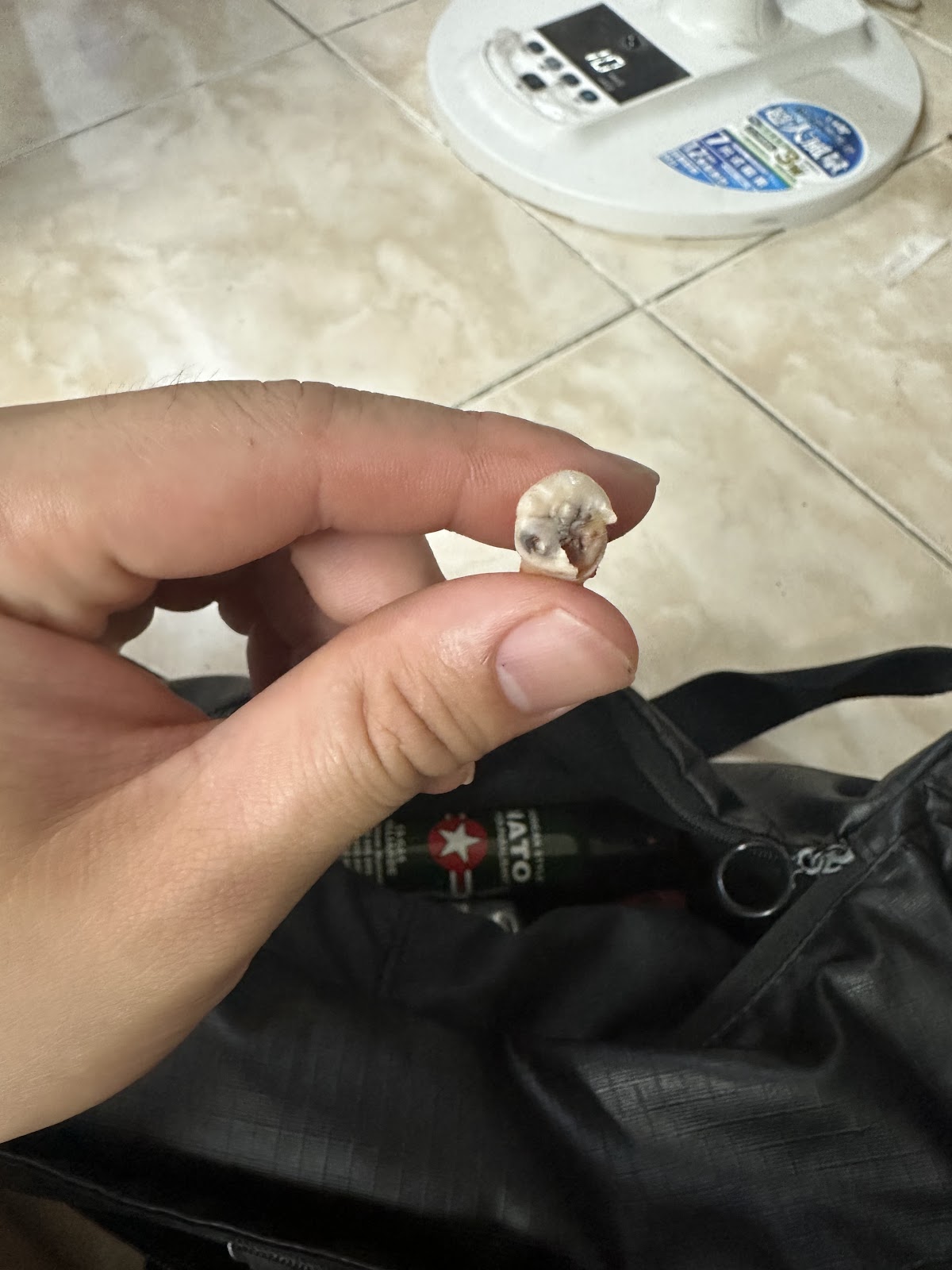 揚登牙醫診所 診所實景照