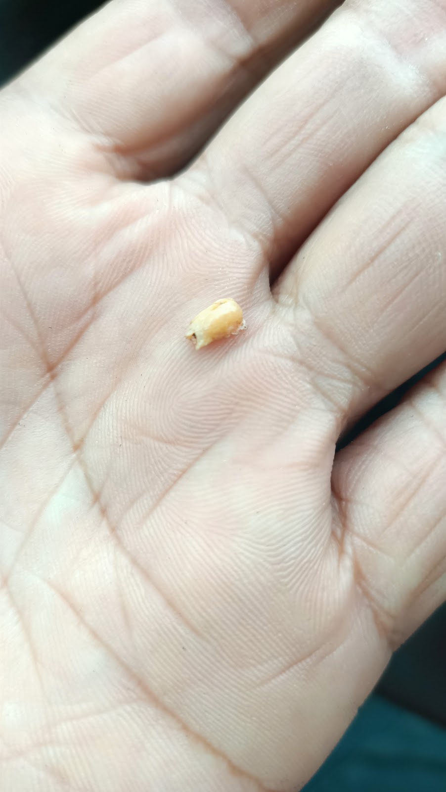 德安牙醫診所 診所實景照