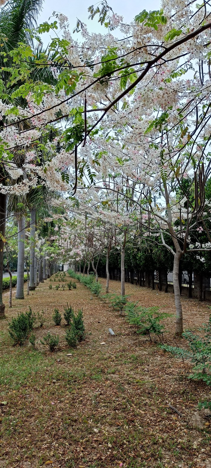 國軍退除役官兵輔導委員會高雄榮譽國民之家醫務室 診所實景照