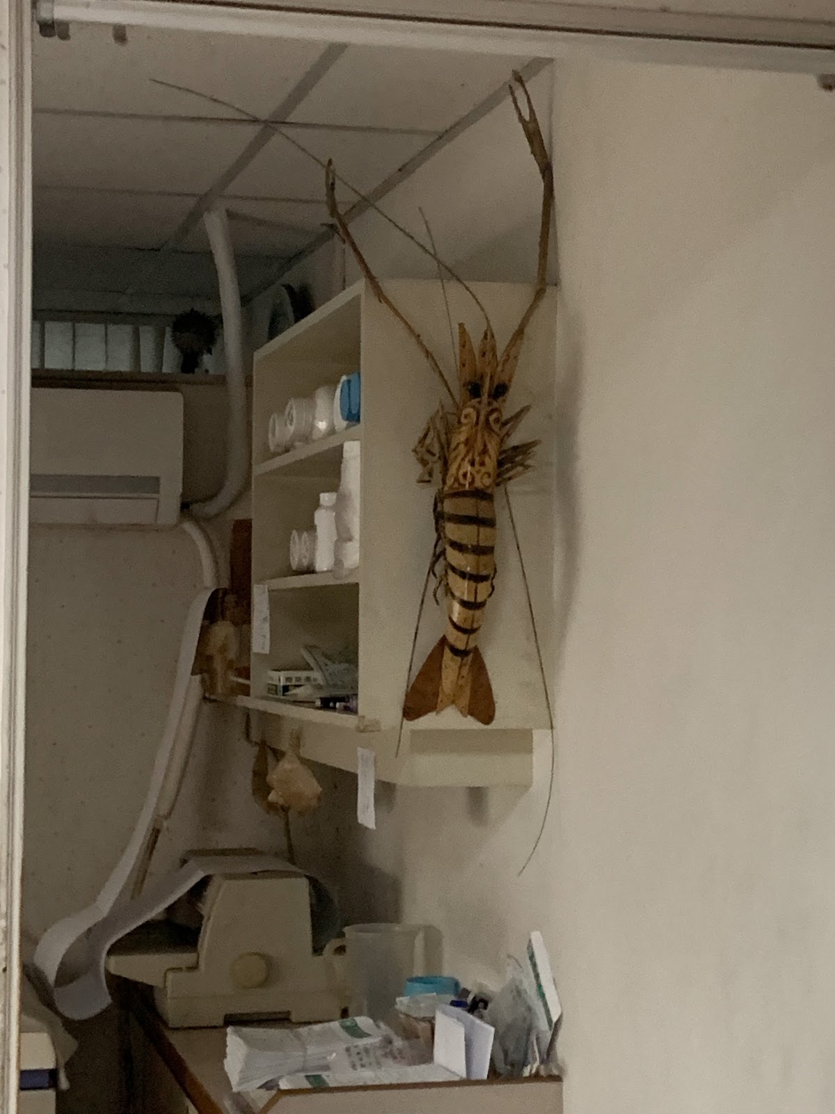 葉明憲小兒科診所 診所實景照