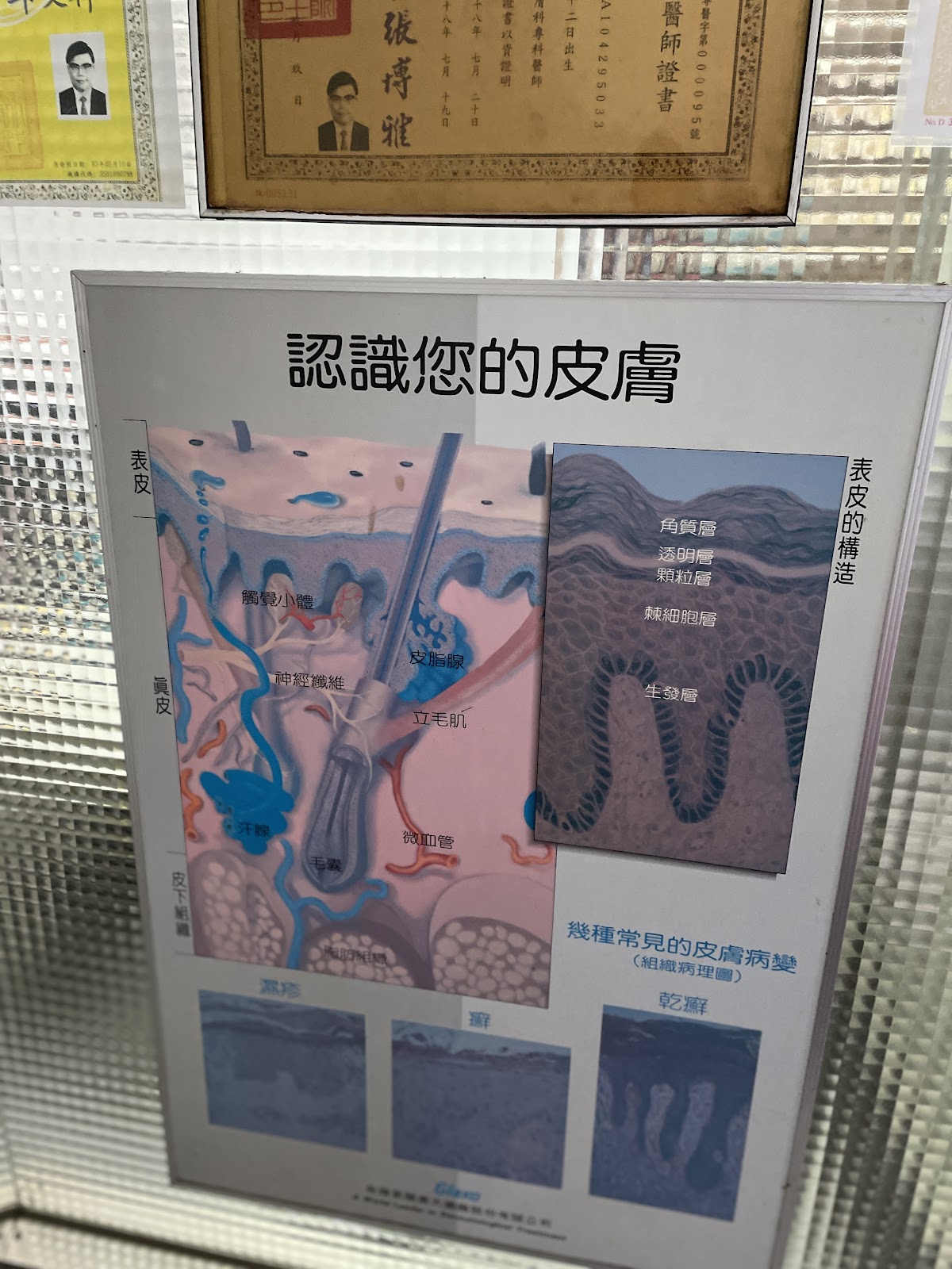 蔡皮膚科診所 診所實景照