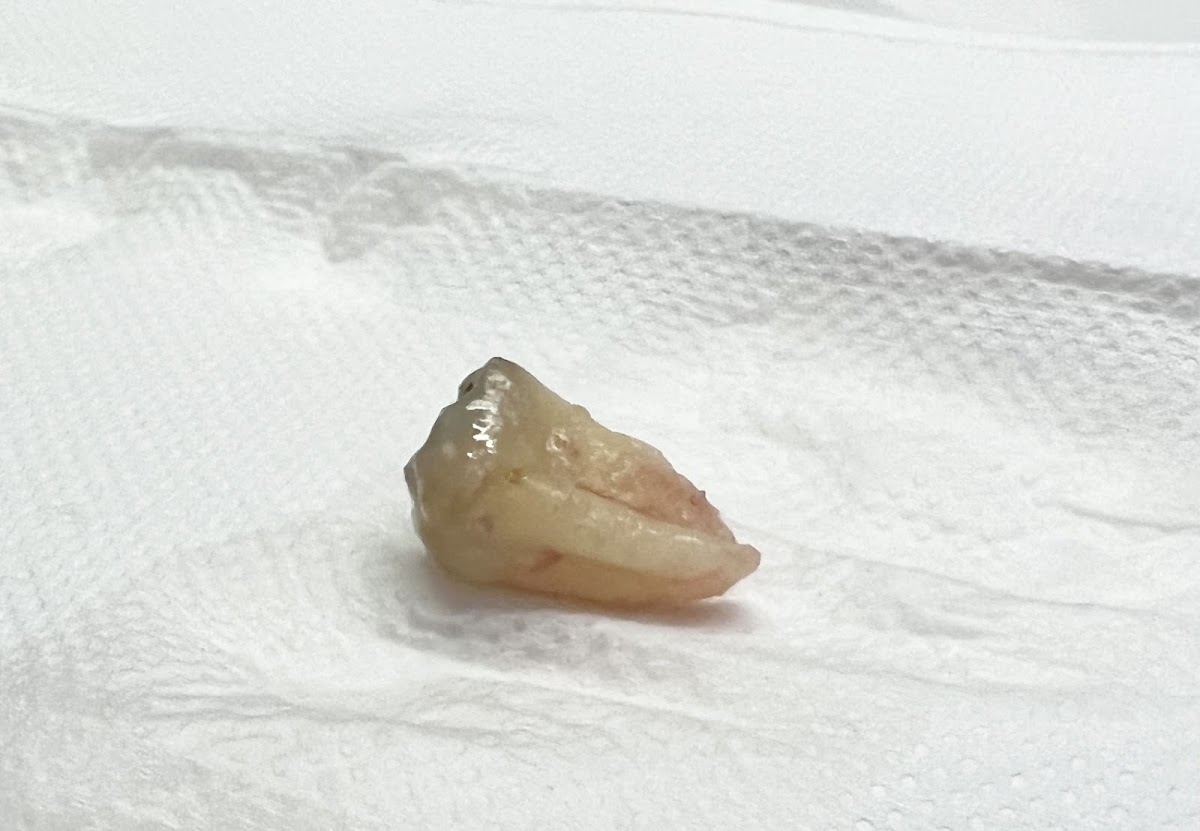 第一牙醫診所 診所實景照