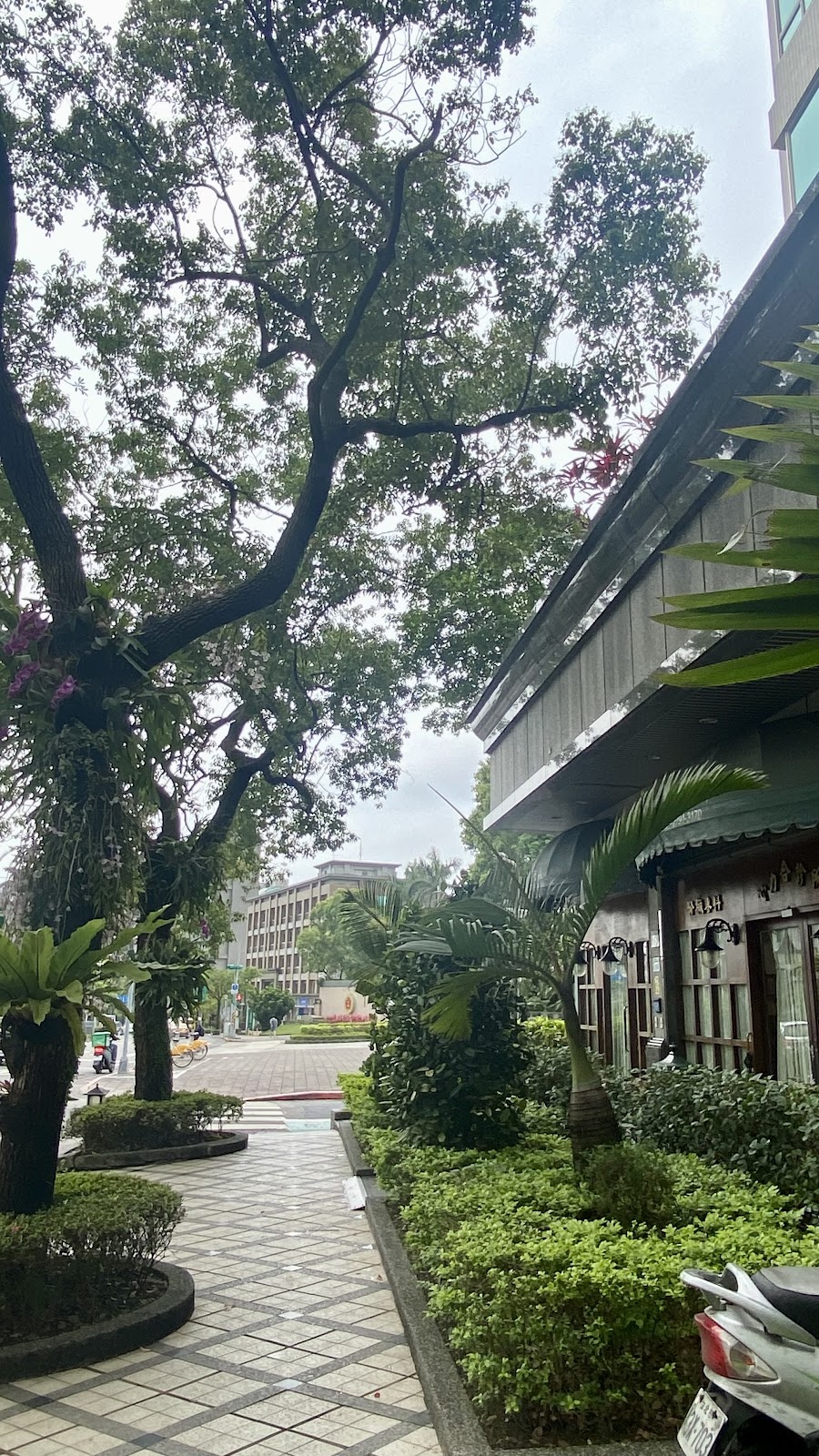 心力合診所 診所實景照