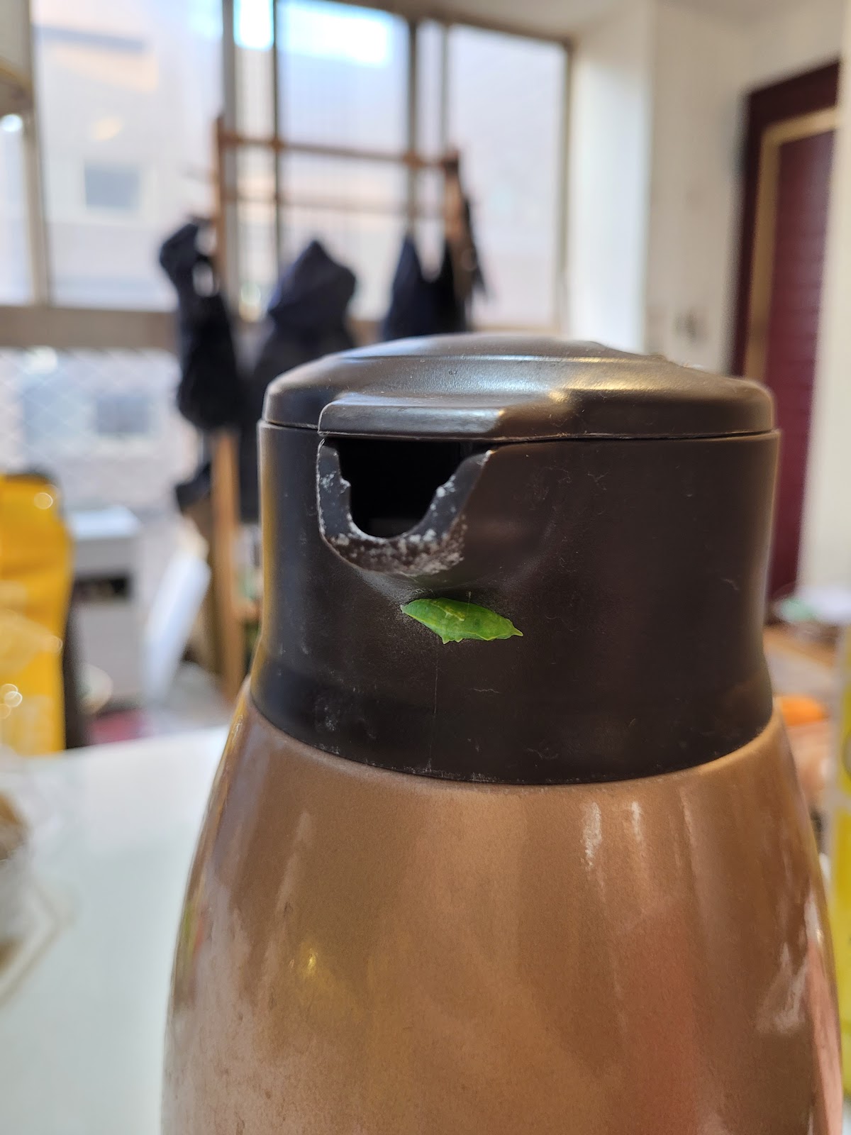 楊雲志診所 診所實景照