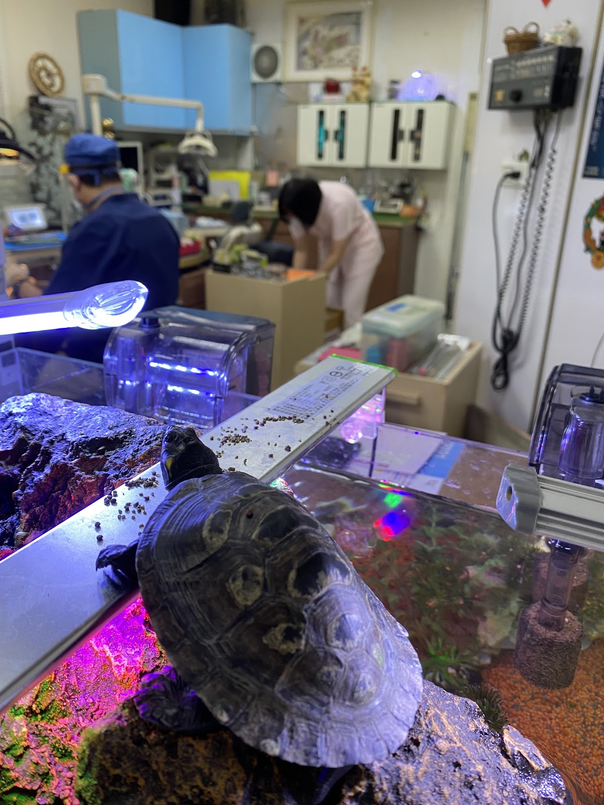 李國屏牙醫診所 診所實景照